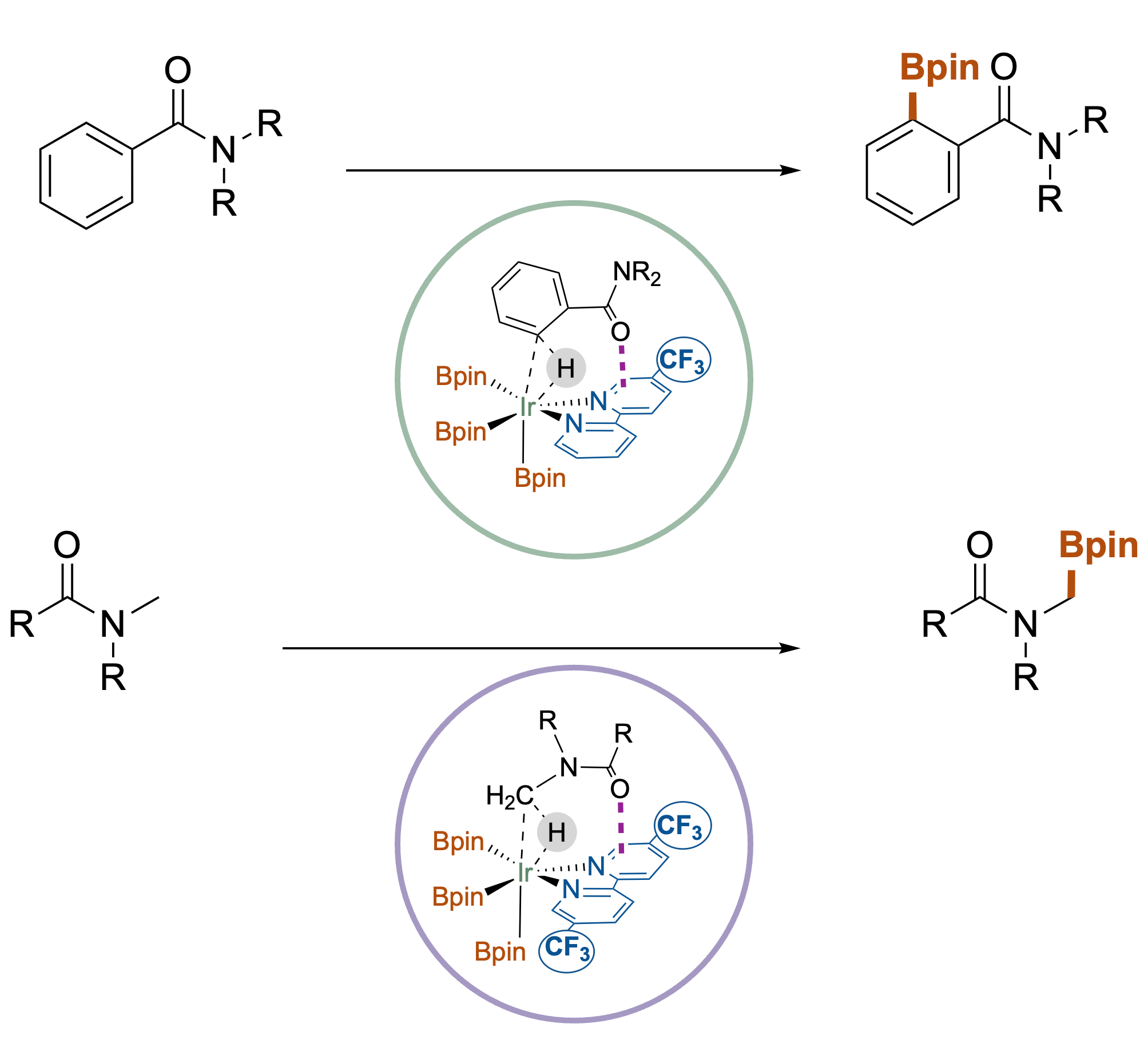 Reaction Scheme